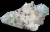 Zoned Apophyllite Crystals on Stilbite Association - India #44443-1
